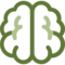 Brain