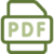 PDF File